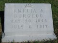 Image for Burgess - Troy Cemetery - Troy Township, Ohio
