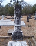 Image for W. M. Lunsford - Union Presbyterian Church Cemetery - Arguta Community, AL