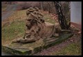 Image for The lion in the park - Vysoke Myto, Czech Republic