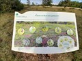 Image for Faune et flore des pelouses - Chaumes du Verniller - Le Subdray, Centre Val de Loire, France