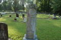 Image for John L. Andrews - Cottonwood Cemetery - Lottie, LA