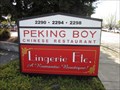 Image for Peking Boy - Pleasant Hill, CA