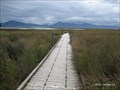 Image for Beluga Slough Boardwalk - Homer, AK, USA