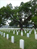 Image for St. Augustine National Cemetery - St. Augustine, FL