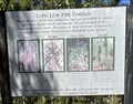 Image for Long Leaf Pine Forests - Wilmington, North Carolina