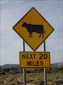Image for Cattle Crossing - Teec Nos Pos, AZ
