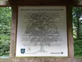 Image for FIRST - Baum mit Postanschrift auf der Welt