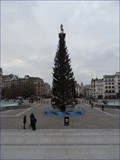 Image for Trafalgar Square Christmas Tree - Trafalgar Square, London, UK