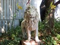 Image for Small Lion, The Wild Animal Sanctuary - Keenesburg, CO