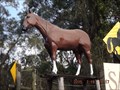 Image for Sahara Trails Horse Rides, Anna Bay, NSW, Australia