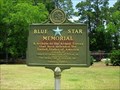 Image for Blue Star Marker at National Peanut Museum-Tifton GA.-Tift County