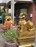 Image for Chinese Lions, Lage