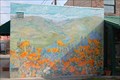 Image for Poppies & Lupine - Exeter California