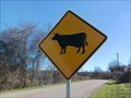 Image for Cattle Crossing - Parker County, TX