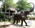 Image for Elephant’s Walk Shopping Mall and Artist Village - Victoria Falls, Zimbabwe