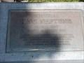 Image for King Neptune, the Navy mascot pig