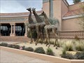 Image for Giraffes  - Danville, CA