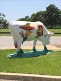 Image for Mushroom Bull - Fort Worth, TX