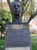 Image for František Bakule - Družec, Czechia