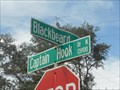 Image for Blackbeard & Captain Cook - Jacksonville, FL