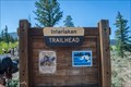Image for Interlaken Trail  - Twin Lakes, CO