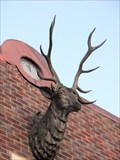 Image for Elks Lodge No 1283 McMinnville Oregon