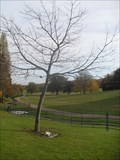 Image for Raymond Hill - Campbell Park, Milton Keynes, Buckinghamshire.