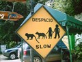 Image for Monkey Crossing, Quepos, Costa Rica