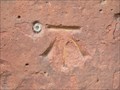 Image for Cut Bench Mark with Bolt, Castle Church, Stafford, Staffordshire, UK. 
