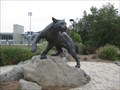 Image for UNH Wildcat