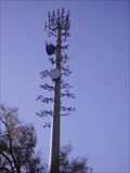 Image for Mandeville's Disguised Cell Tower #2