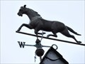 Image for Galloping horse - Celle, Niedersachsen, Germany