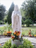 Image for Blessed Virgin Mary - Valrico, FL