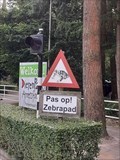 Image for Pas op! overstekende zebrapadden - Amersfoort, NL