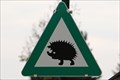 Image for Igel-Kreuzung / Hedgehog Crossing - Langenlebarn, Austria