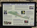 Image for Bluebell Woods - Hayfield, UK