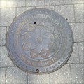 Image for Storm Drain  - Stanford, CA