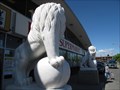 Image for Forest Lawn Lucky Supermarket Lions - Calgary, Alberta