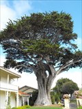 Image for Vasquez adobe Cypress - Monterey, California 