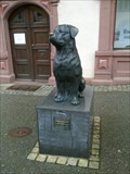 Image for Rottweiler Dog, Rottweil, Germany, BW