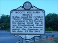Image for Woody Williams Bridge