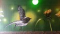 Image for Graffiti Birds and flowers - Helsingborg, Sweden