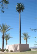 Image for Talking Palm Tree - Bell & Sarival