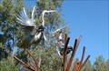 Image for Herons - Montezuma Wildlife Refuge, Seneca, NY