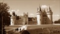 Image for [ChX] Le château de Sully-sur-Loire