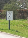 Image for 38mph in Windsor Great Park- Berks