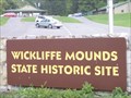 Image for Wickliffe Mounds