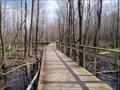 Image for The Wetlands Boardwalk - Maumee Bay State Park - Oregon,Ohio