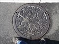 Image for Nara City manhole - Nara, JAPAN
