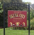 Image for Skunk City - Syracuse, NY